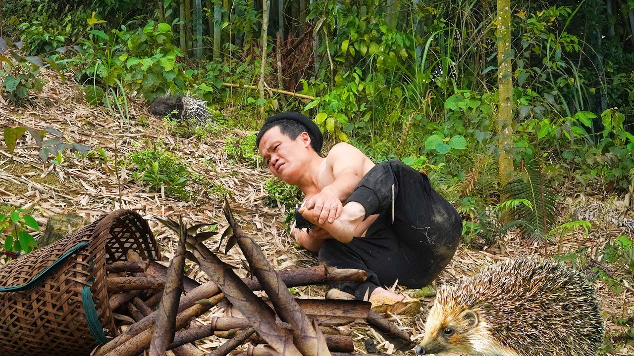 Dwarf Family was Attacked by a Porcupine - Harvesting wild Bamboo Shoots in exchange for rice