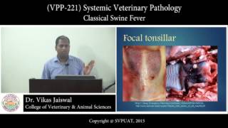(VPP-221) Systemic Veterinary Pathology