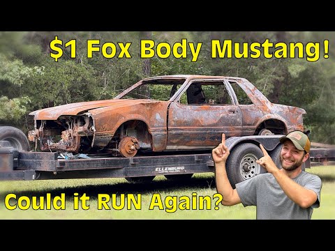 Would you have bought this $1 Mustang?! Was it worth it?