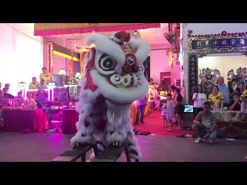 新加坡关善坛龙狮学院 , Kuan San Tang Female Traditional Lion Dance Performance on the 7/8/23