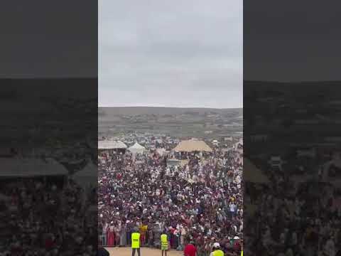 سعيد ولد الحوات السواكن 