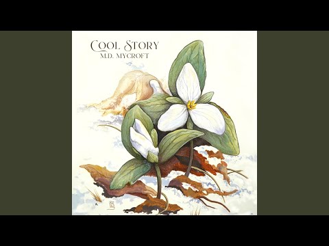 لانه حواصیل 