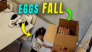 Little Kid Tries to Move a Box Causing Eggs to Fall to the Ground