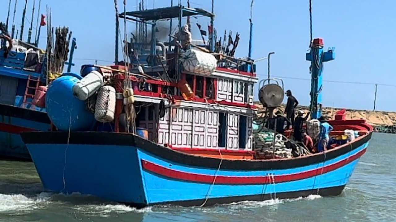 В конце года ловля рыбы кошельковыми неводами в провинции Даклак приносит богатый улов гигантских...