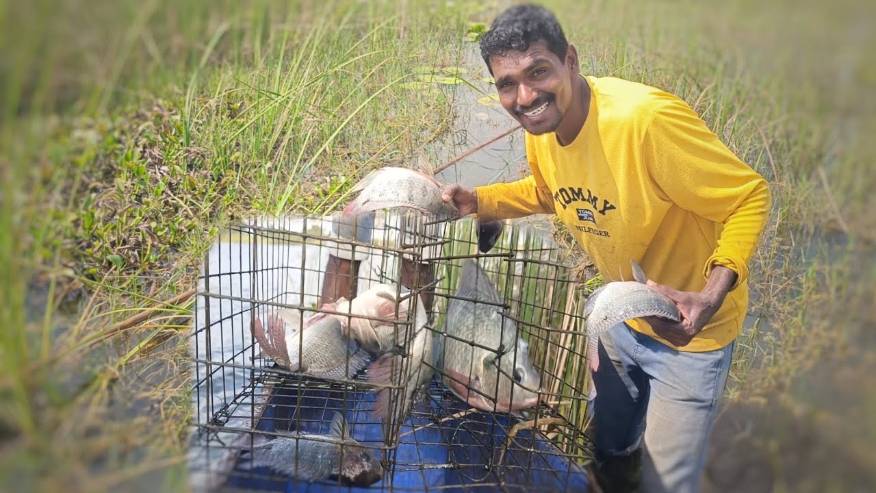 🚣బోను కి పడకుండ తప్పించుకొని తిరిగే చేపలకి ఇంకా తప్పించుకోవడానికి అవకాశం లేదు🐟 | bonu fishing video