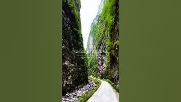 ومن الناس من يُعجبك قوله| تلاوة خاشعة// بصوت القارئ صالح اليافعي 🎧💙صوت يريح الأعصاب من هموم الدنيا 🌿