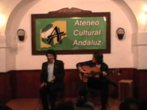 JOS DE LOS CAMARONES: "JONDO". POR RONDEA, CON FANDANGO DE LUCENA Y VERDI.