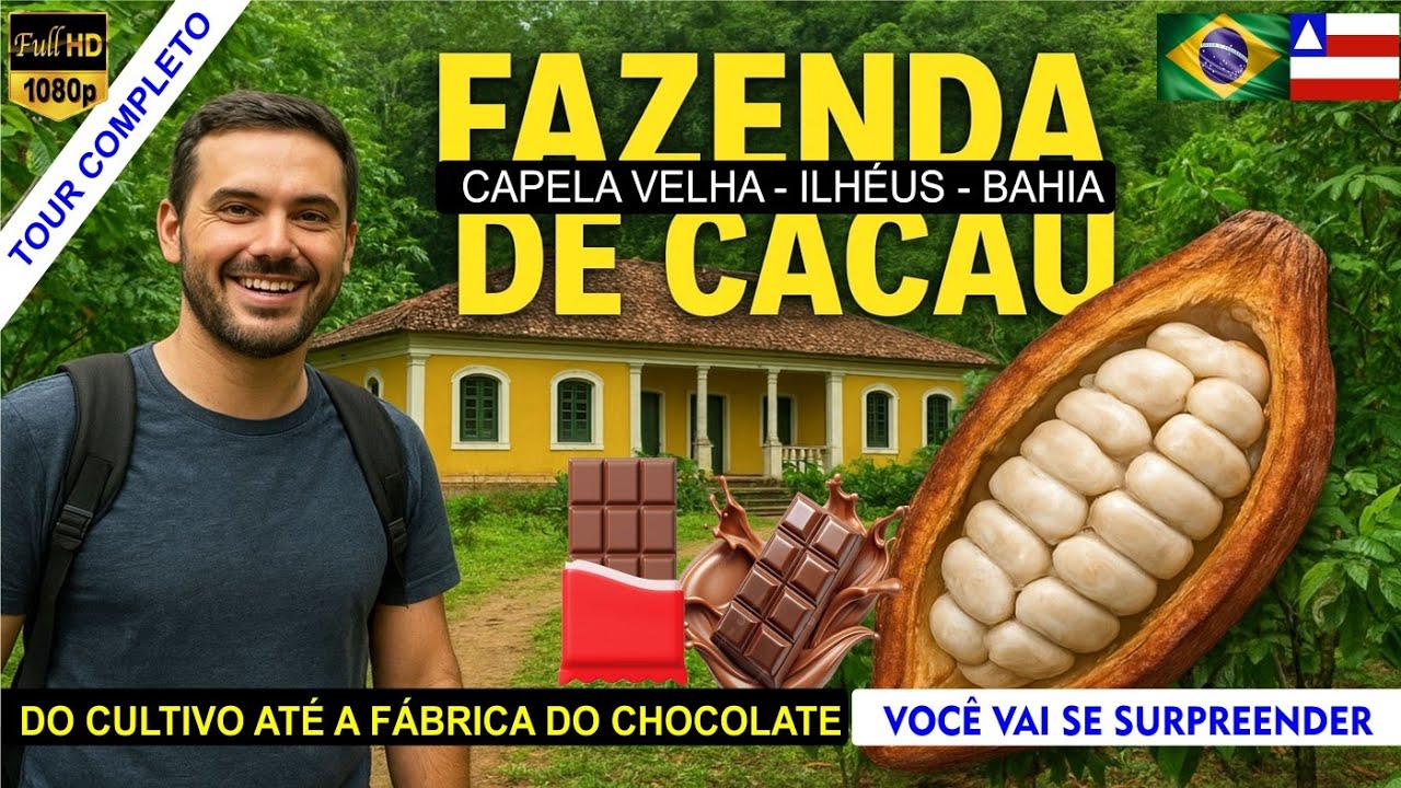 Tour Ilhéus 01/12 - fazenda de cacau capela velha: História Riqueza Coronéis 