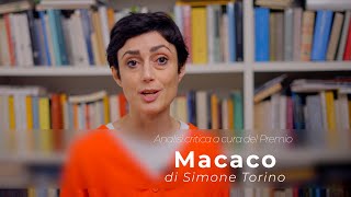 Macaco di Simone Torino - lettura critica