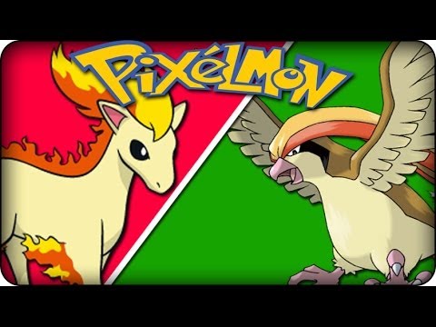 the little club daycare Minecraft Pixelmon 3.1.1 (1.7) - LEGENDARY RACE CHALLENGE #4 'SHARPEDO LILO'