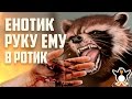 Еноты - лучшее видео!!! Прикольные звери. Самая классная подборка!