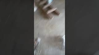 Ufungaji wa mashine ya kukoboa mpunga