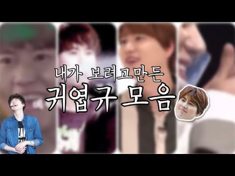 [규현]내가보려고만든 귀엽규모음 || 조규현 || 슈퍼주니어 || 슈주 || 규현입덕 n주차