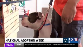 Louisiana SPCA bringing adoptable pets to PetSmart for National Adoption Week
