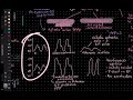 FISIOLOGIA // DISTENSIBILIDAD VASCULAR // CAP 15 // REPASO // 2X// AUDIOVOICE