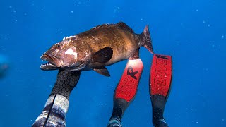 Overnight On The Reef - Spearfishing (Fore and Aft Reef & Roxburgh Reef Townsville, Part 1) Ep. 26