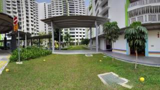170112 Punggol Road Beside Rooftop Garden 1920 injected