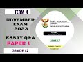 POSSIBLE ESSAY QUESTIONS NOV EXAMS 2023 || BUSINESS STUDIES GRADE 12 📚🖋️