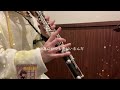 【浪川大輔】キミノミカタ  Covered by clarinet