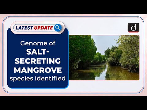 Genome of salt-secreting mangrove species identified: Latest Update | DrishtiIAS English – Watch On YouTube