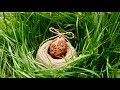 How to Carve a Floral Easter Egg - Avocado Seed carving Tutorial