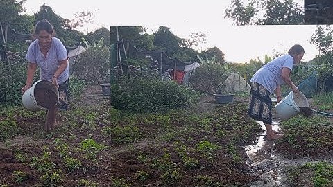 Hello, see you later.