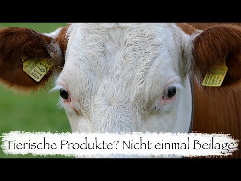 Video: Vegetarier Zu Werden Ist Der Einfachste Weg, Den Planeten Zu Retten