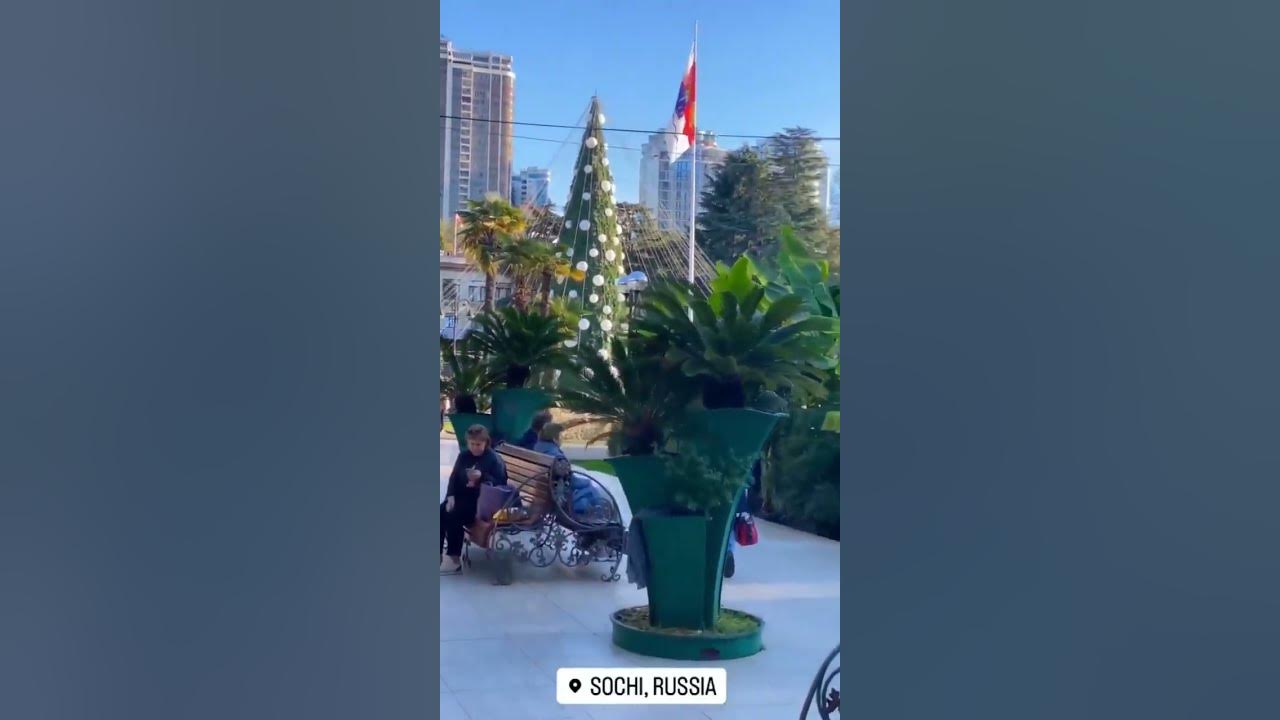 сочи занимает место. новый год на набережной адлера. сочи в июле. парк ривьера сочи динозавры. сочи адлер олимпийский парк.