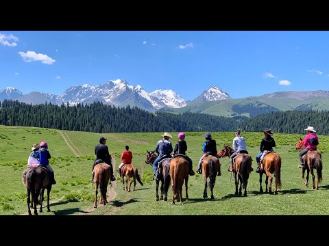 Amazing Horse travel