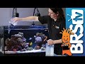 How To Dosing 2 Part In Your Reef Tank How To Dosing 2 Part In Your Reef Tank