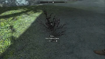Skyrim V прохождение №22 Забрать Крапивник и Отнести Данике и Добыть Сок Великого Древа Взять Побег