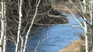 200 Acres, Maine Land On Two Waterfronts..St Croix River, Blackwater Stream. Watch The Video.
