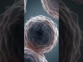 Doctors Biopsied Her Cancer — It Disappeared in 2 Weeks
