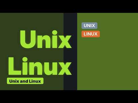 Unix & Linux: Bash inside Vim not working properly (2 Solutions!!)