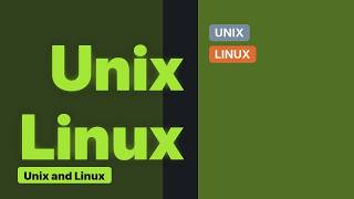 Unix & Linux: Bash inside Vim not working properly (2 Solutions!!)