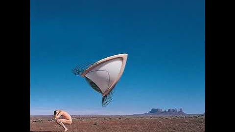 The Cranberries - Animal Instinct