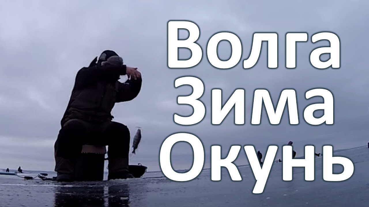 Окунь на волге