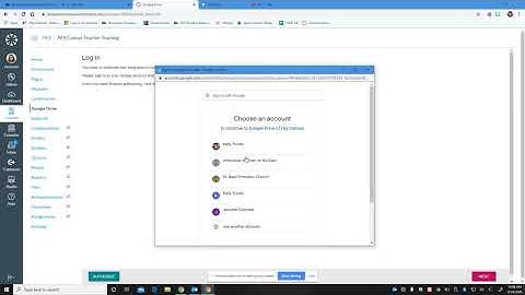 Google Authorization in Canvas