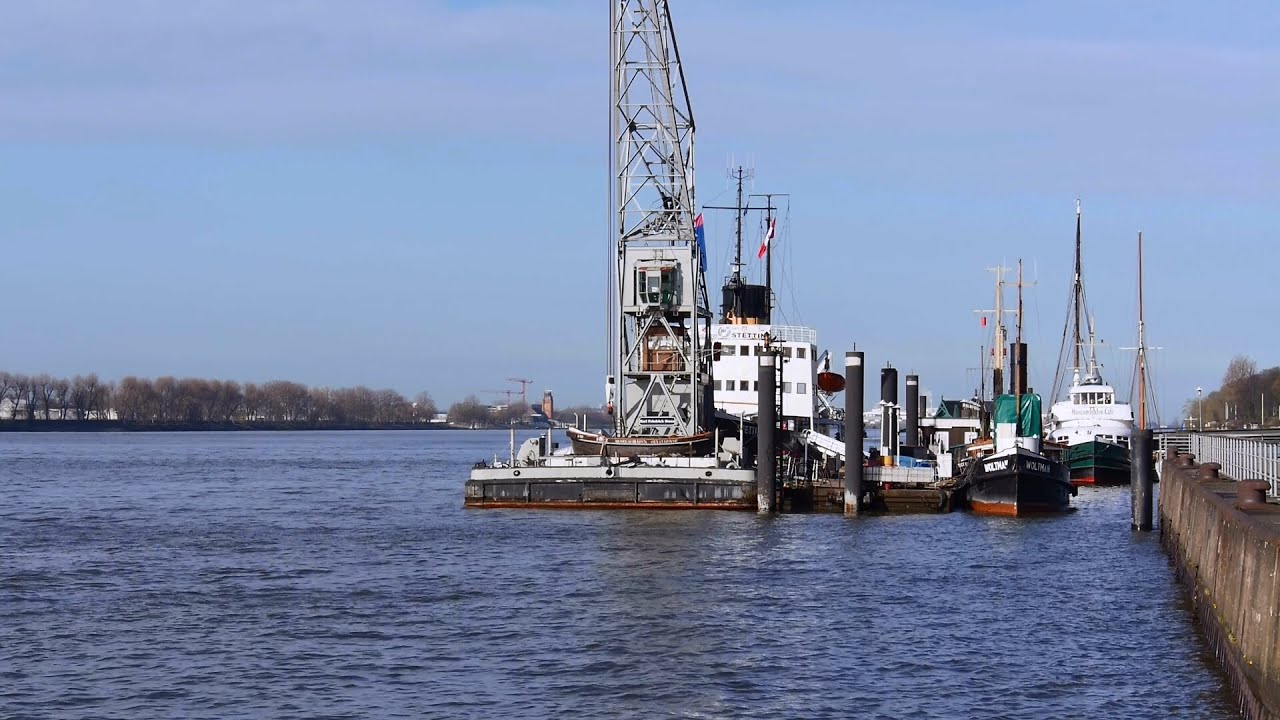 Hamburg, Altona, Elbufer, Schiffe im Museumshafen Övelgönne - Full HD (1080p) Videobild hafen miniature schnauzers