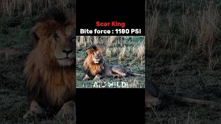 Lion king characters and their bite force #youtube #viral #shorts