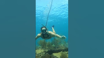 BLU3 Dive System in Action