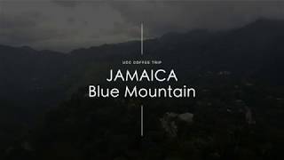 UCC COFFEE TRIP  Jamaica