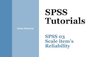 SPSS 03 Scale item