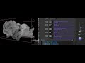 FREE Houdini Fx Curl-Driven Fire Flow Setup