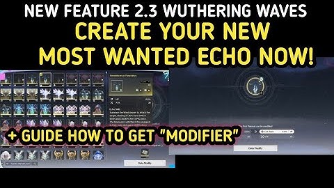 Create Your Most Wanted Echo With New Feature Echo Data Modification & How To Get Modifier Wuthering