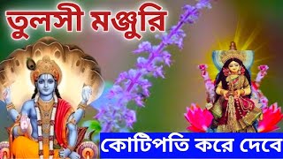 তুলসী গাছের মঞ্জুরি আপনাকে নিমেষে কোটিপতি বানিয়ে দেবে, সম্পূর্ণ গোপন টিপস। #VASTU_TIPS