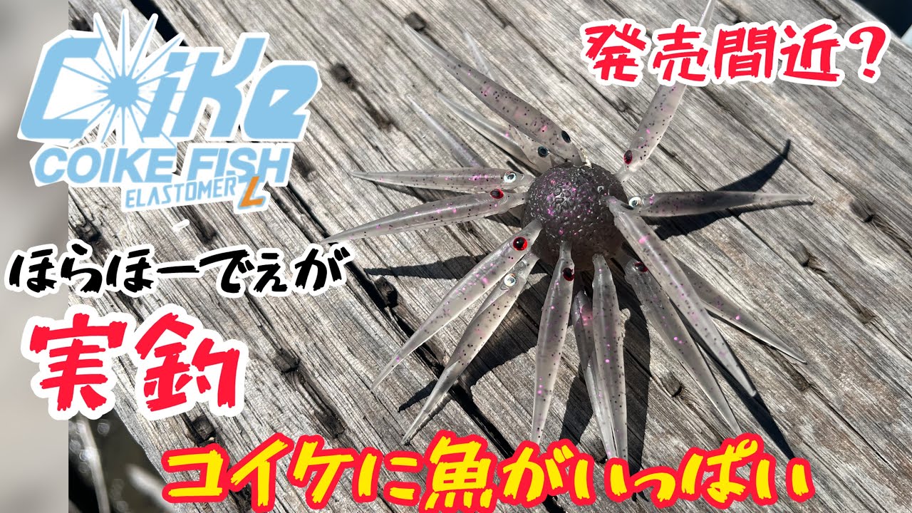 New! Koike Fish is full of fish! I went fishing with Koike Fish L