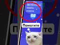 Нам опять усложняют жизнь… #разработчик #программирование #разработка #программист