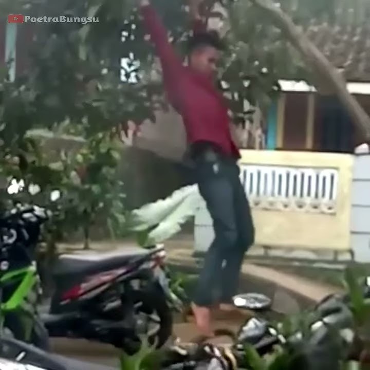 Kowe tak sayang sayang // Story wa lucu