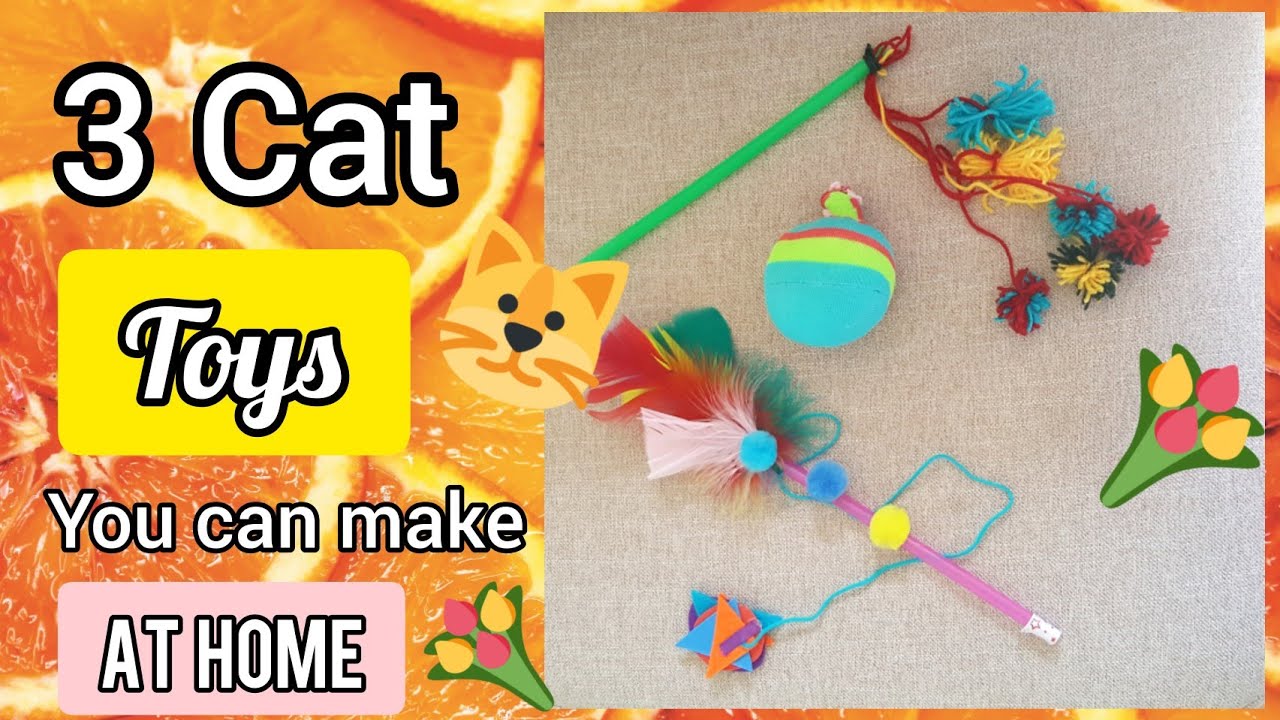 3 Great Homemade Cat Toys YOU Can Make At Home!! 😱 Homemade play pet